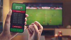 The Role of Online Casinos The Role of Online Casinos