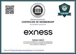 Complete Guide to www exness com download Your Gateway to Trading Complete Guide to www exness com download Your Gateway to Trading